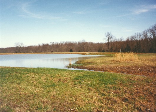 Full Pond - image